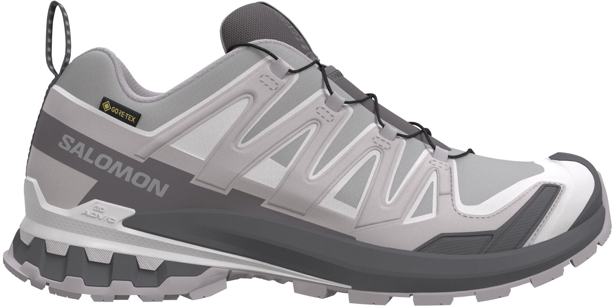 Salomon Men's XA Pro 3D V9 GTX Shoe | Dick's Sporting Goods