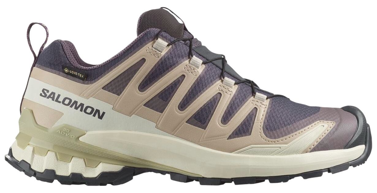 Salomon Women's XA Pro 3D V9 GTX Shoe | Dick's Sporting Goods