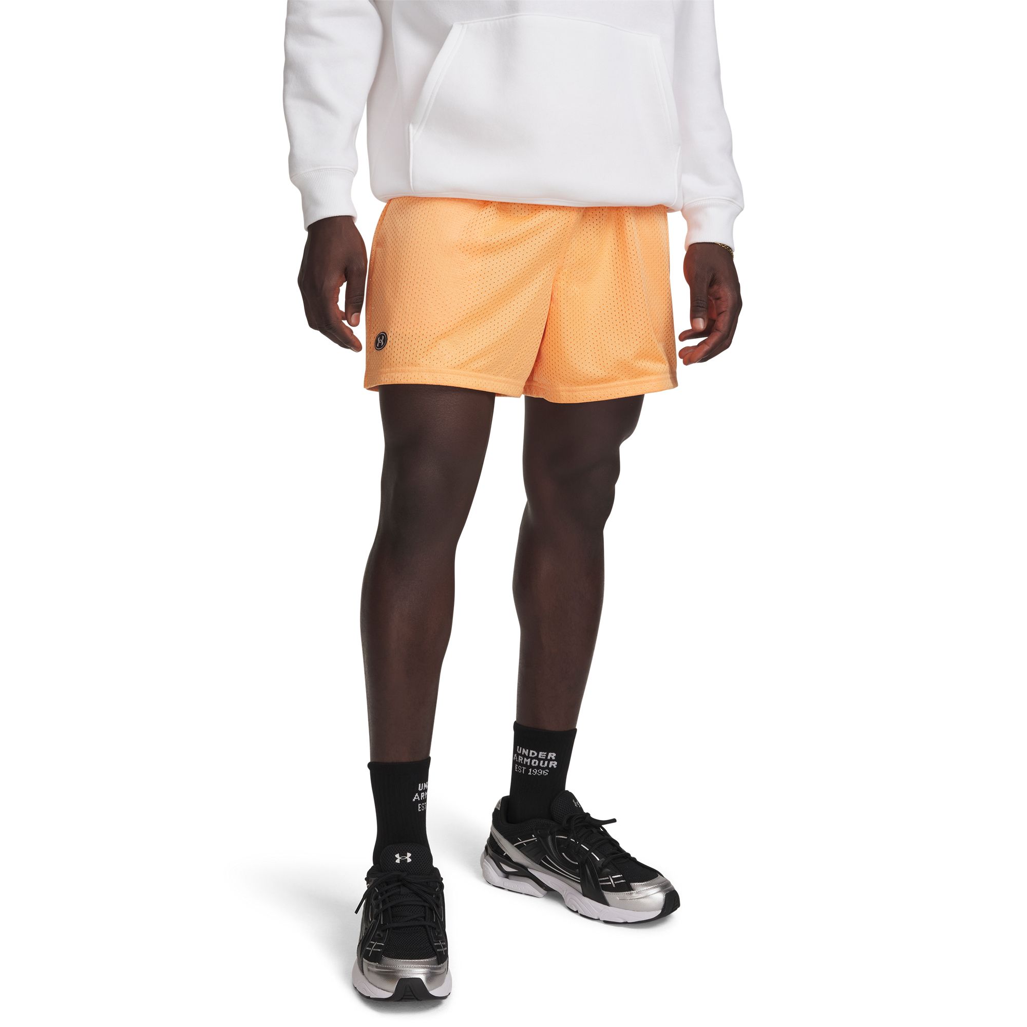 Under Armour Men's Icon Mesh Shorts | Dick's Sporting Goods