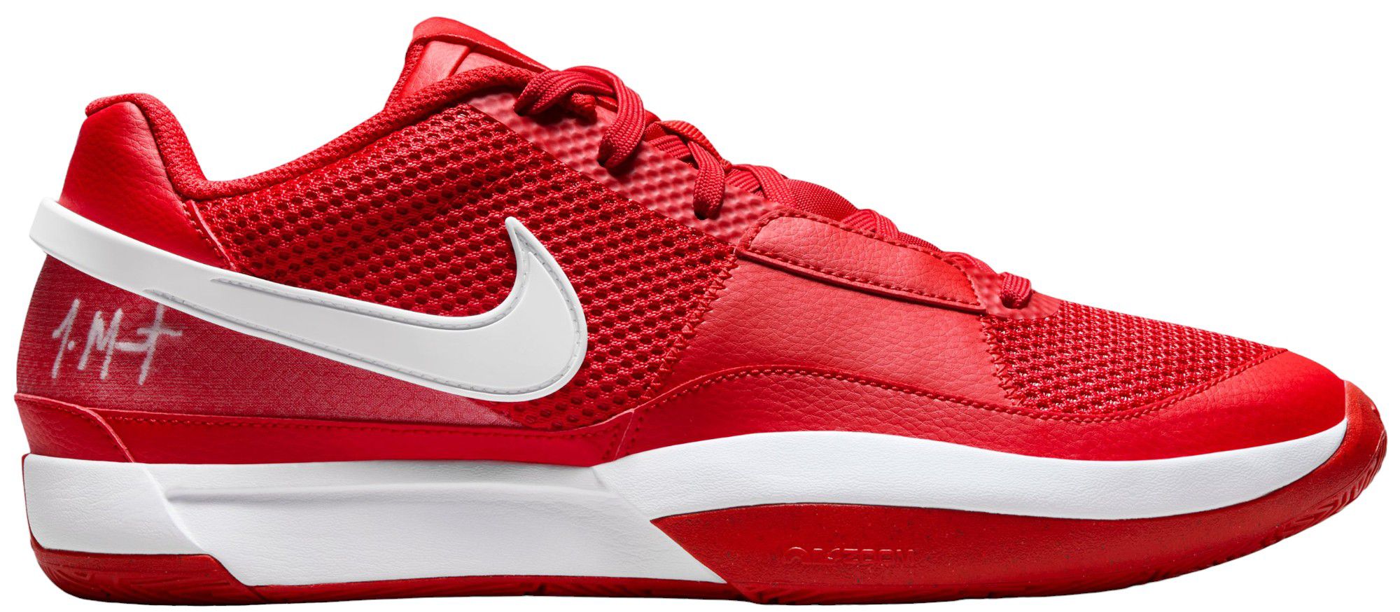 Basketball shoes at dick's sporting goods online