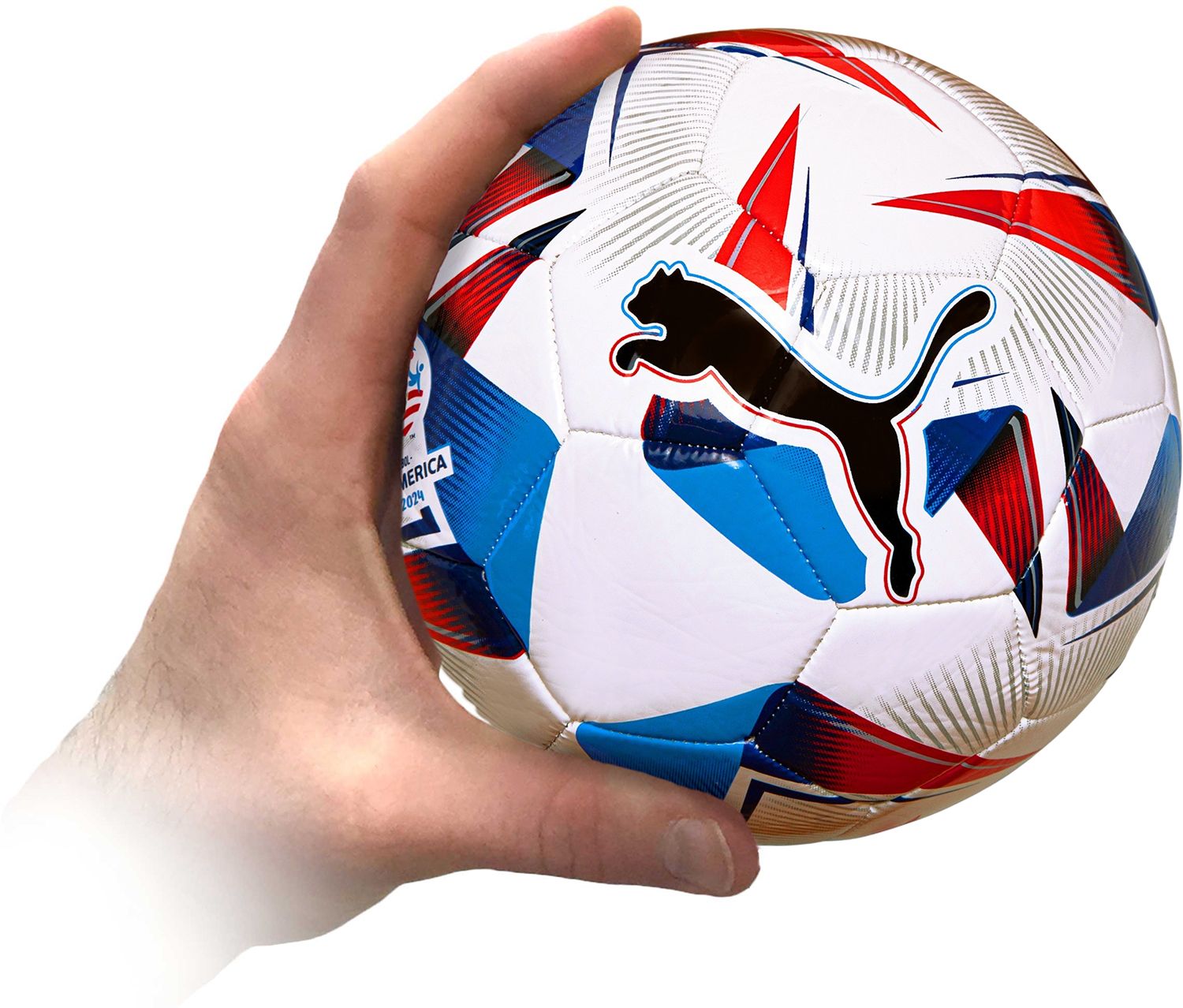 PUMA Cumbre CONMEBOL Copa América 2024 Mini Soccer Ball | Dick's