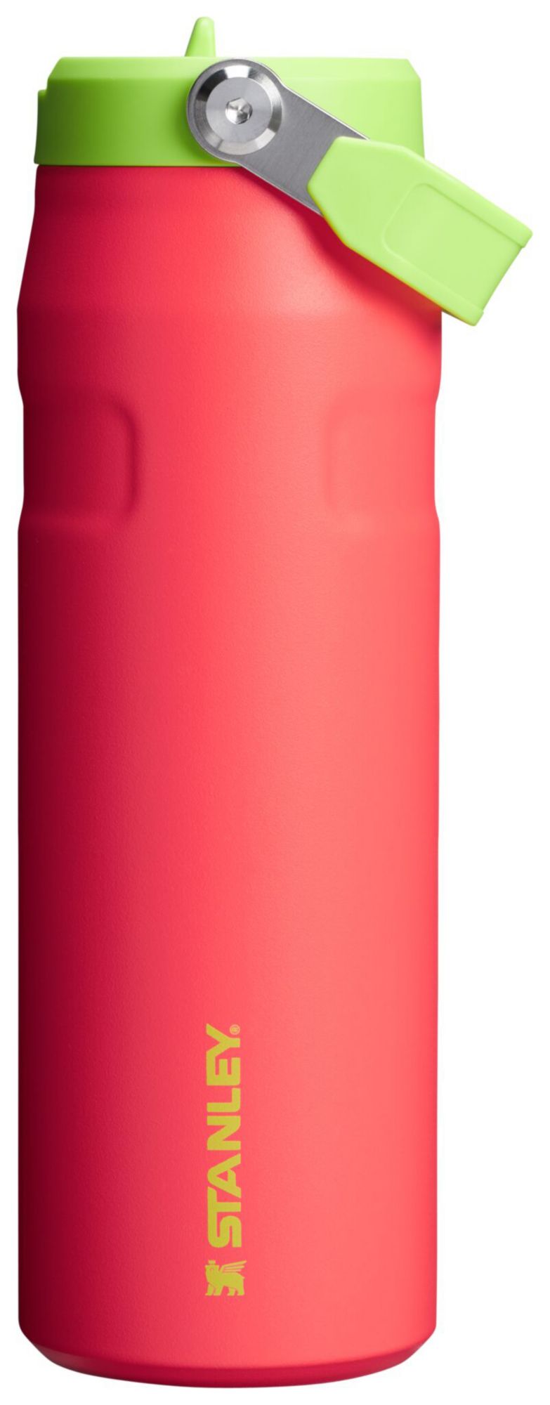 Stanley 24 oz. IceFlow Bottle with Flip Straw Lid | Dick's