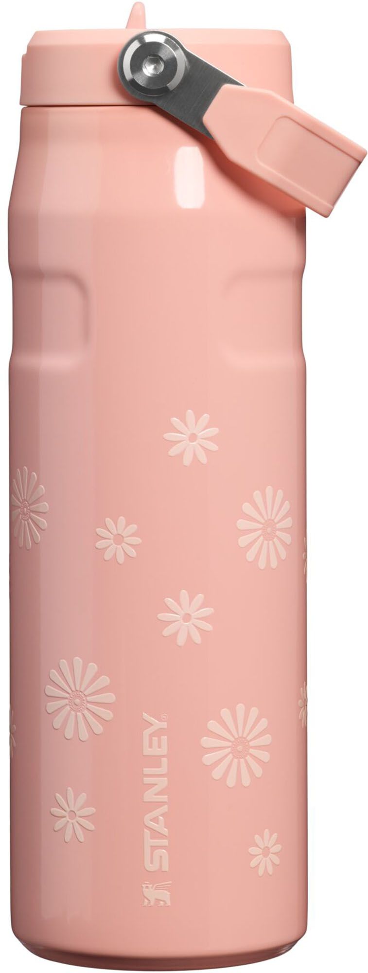 Stanley 24 oz. IceFlow Bottle with Flip Straw Lid | Dick's