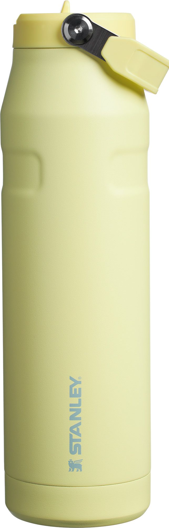 Stanley 36 oz. IceFlow Bottle with Flip Straw Lid | Dick's
