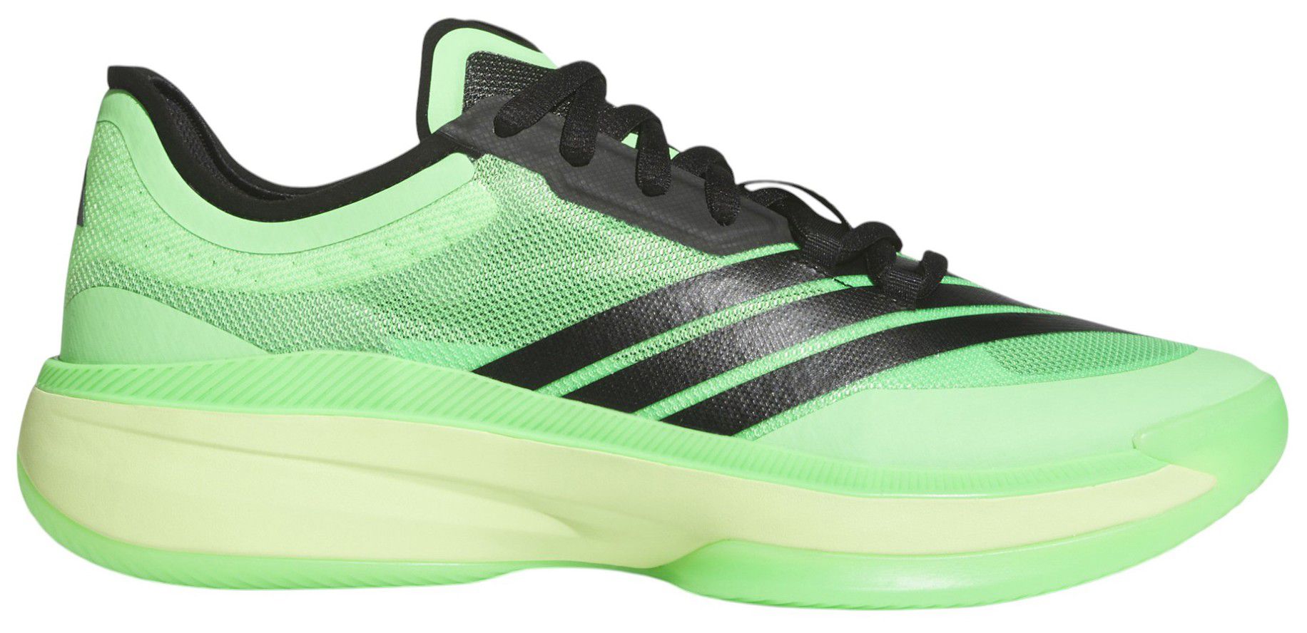 13  【新品未使用】 DSG Moments Adizero L