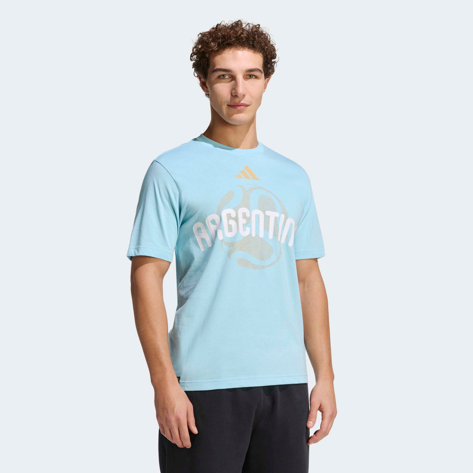 adidas Men's FIFA World Cup 26 Argentina Graphic T-Shirt | Dick's