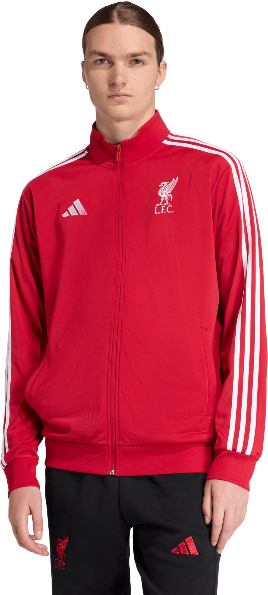 25ADIMC25LFCTMLGJLIV_is