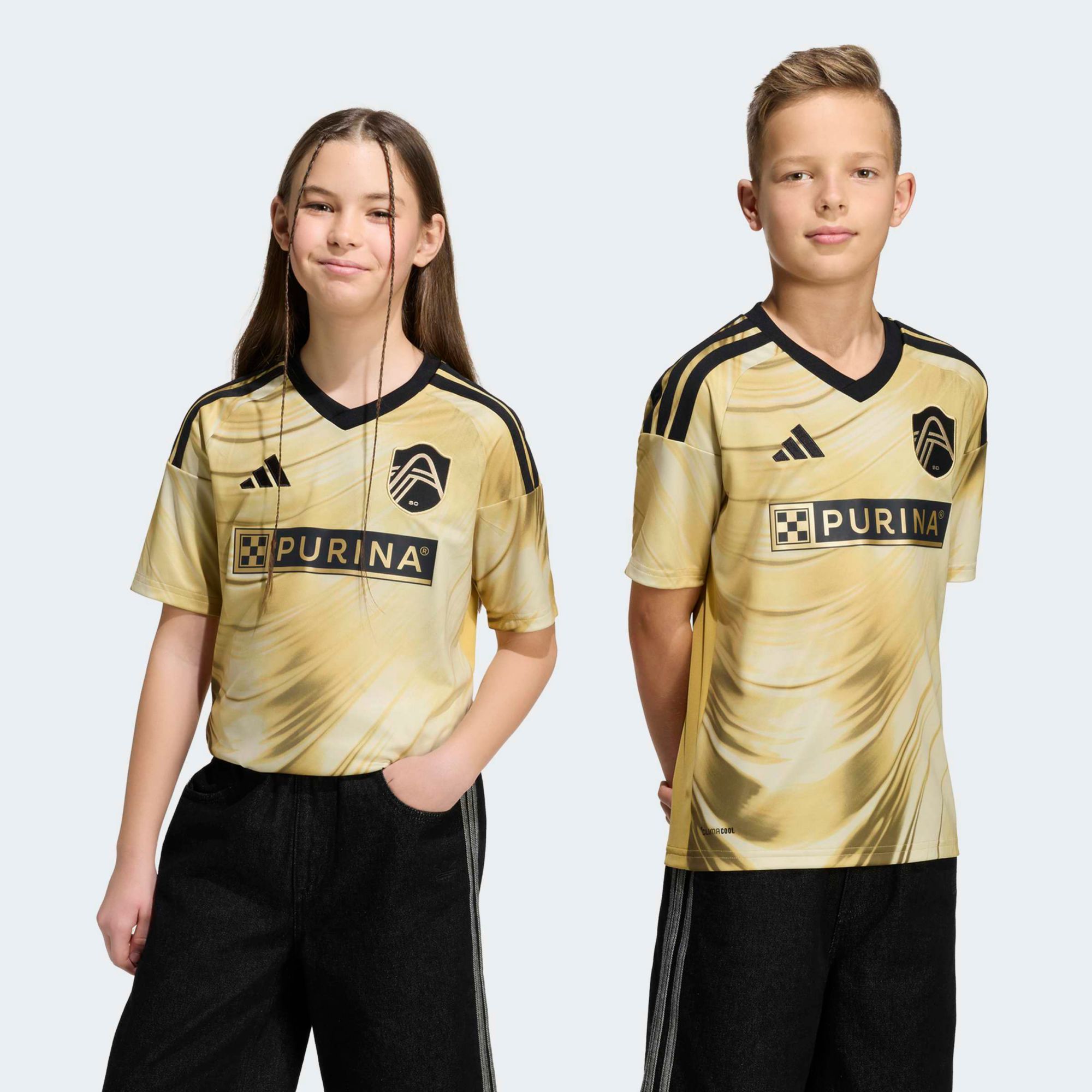 25ADIYMLSSLC26YWJMLS_is