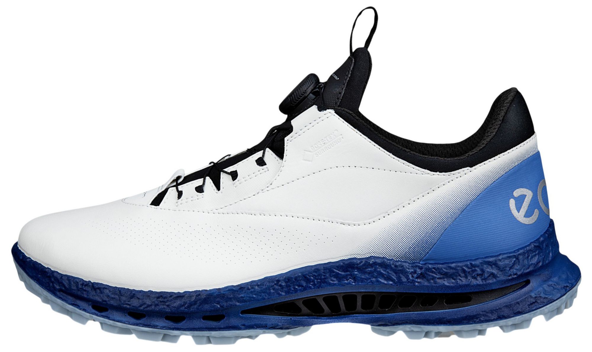 ECCO Men's M Golf Biom C5 BOA Golf Shoes | Golf Galaxy