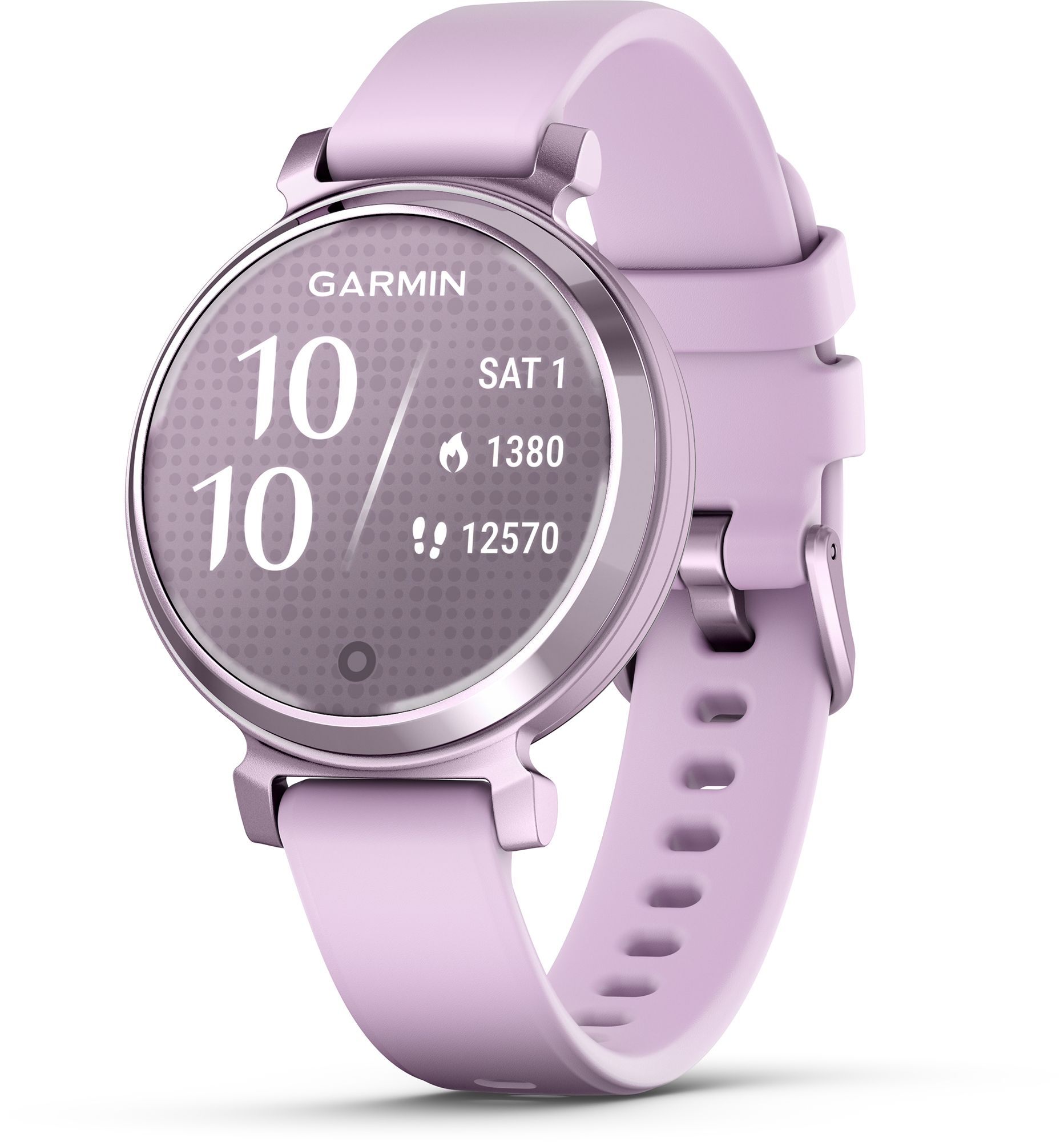 GARMINリリー