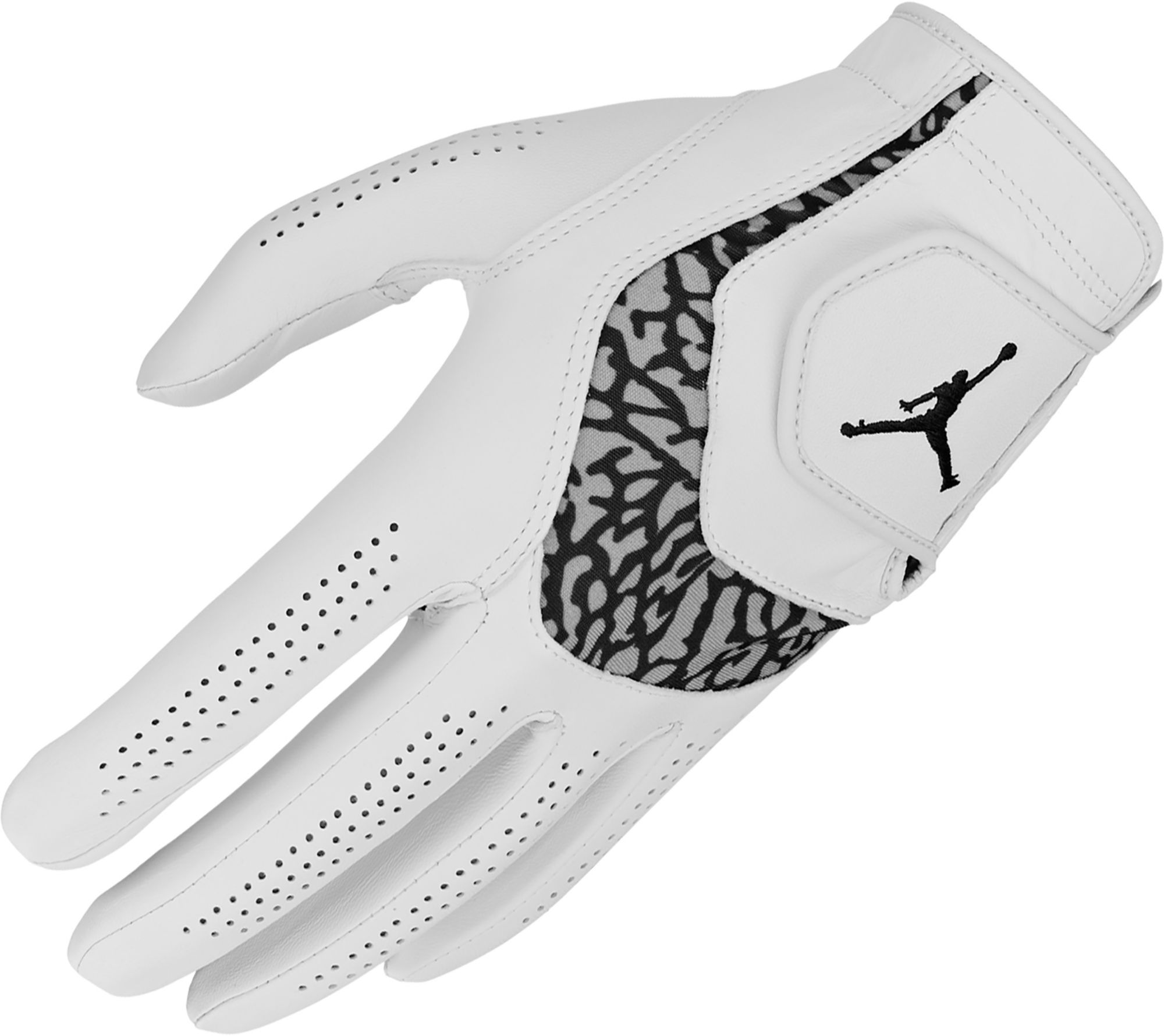 Jordan Tour Golf Glove | Golf Galaxy