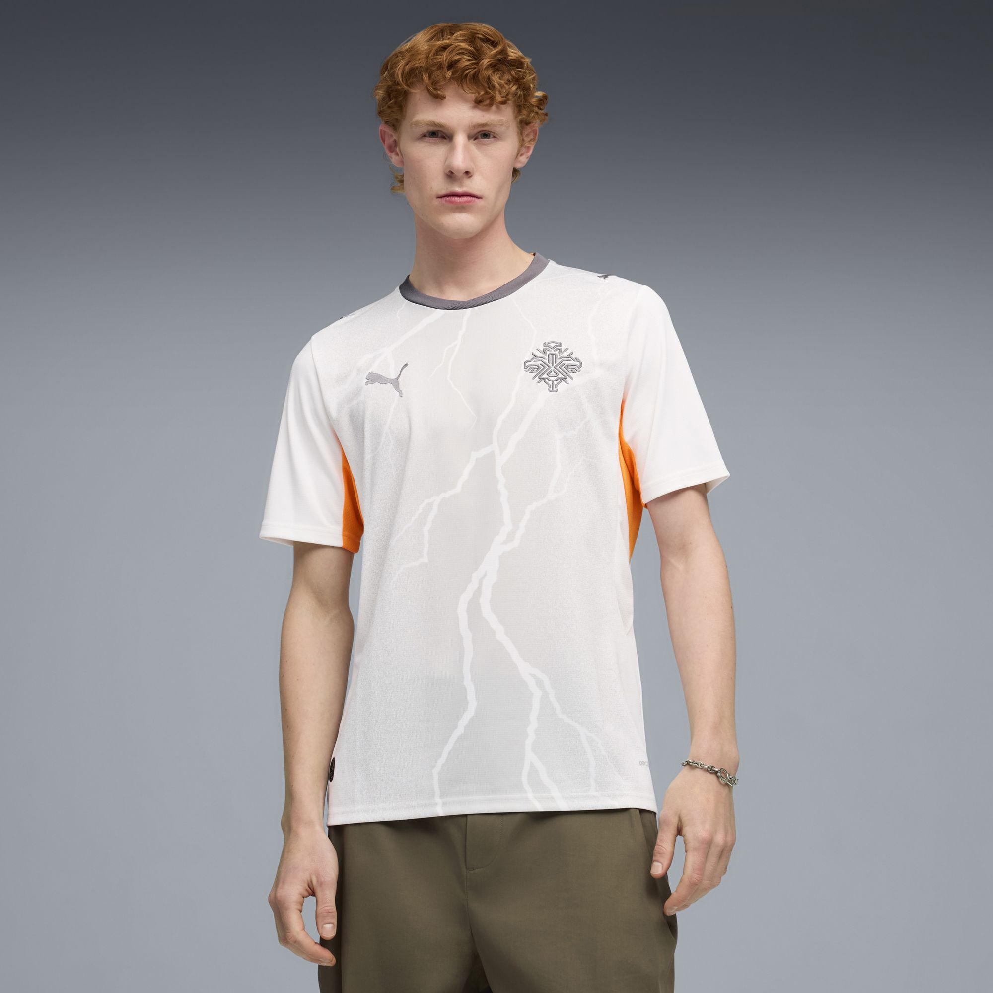 PUMA Adult Iceland 2026 Away Replica Jersey | Dick's Sporting Goods