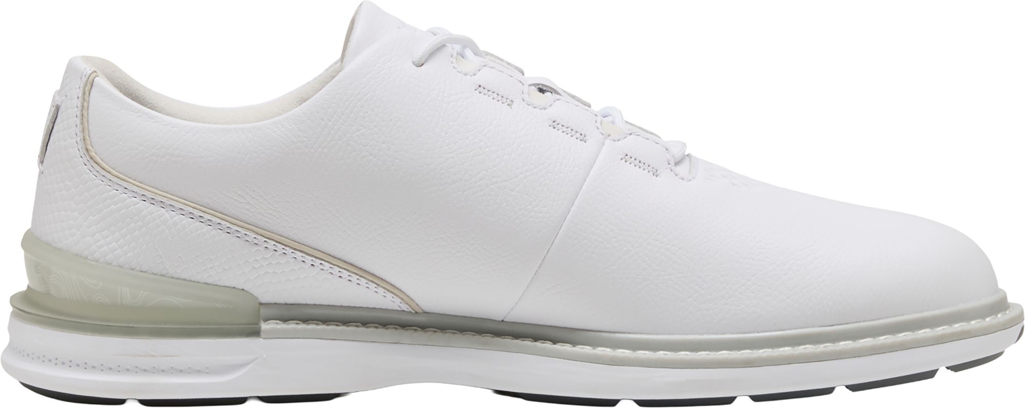 PUMA Men's Avant 2.0 FS Golf Shoes | Dick's Sporting Goods