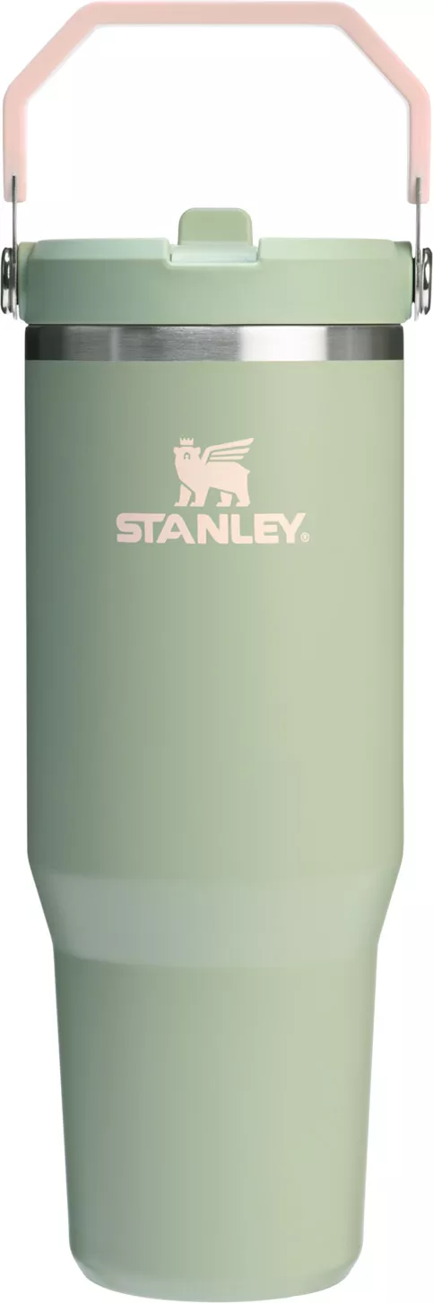 Stanley 30 oz. IceFlow 2.0 Flip Straw Tumbler