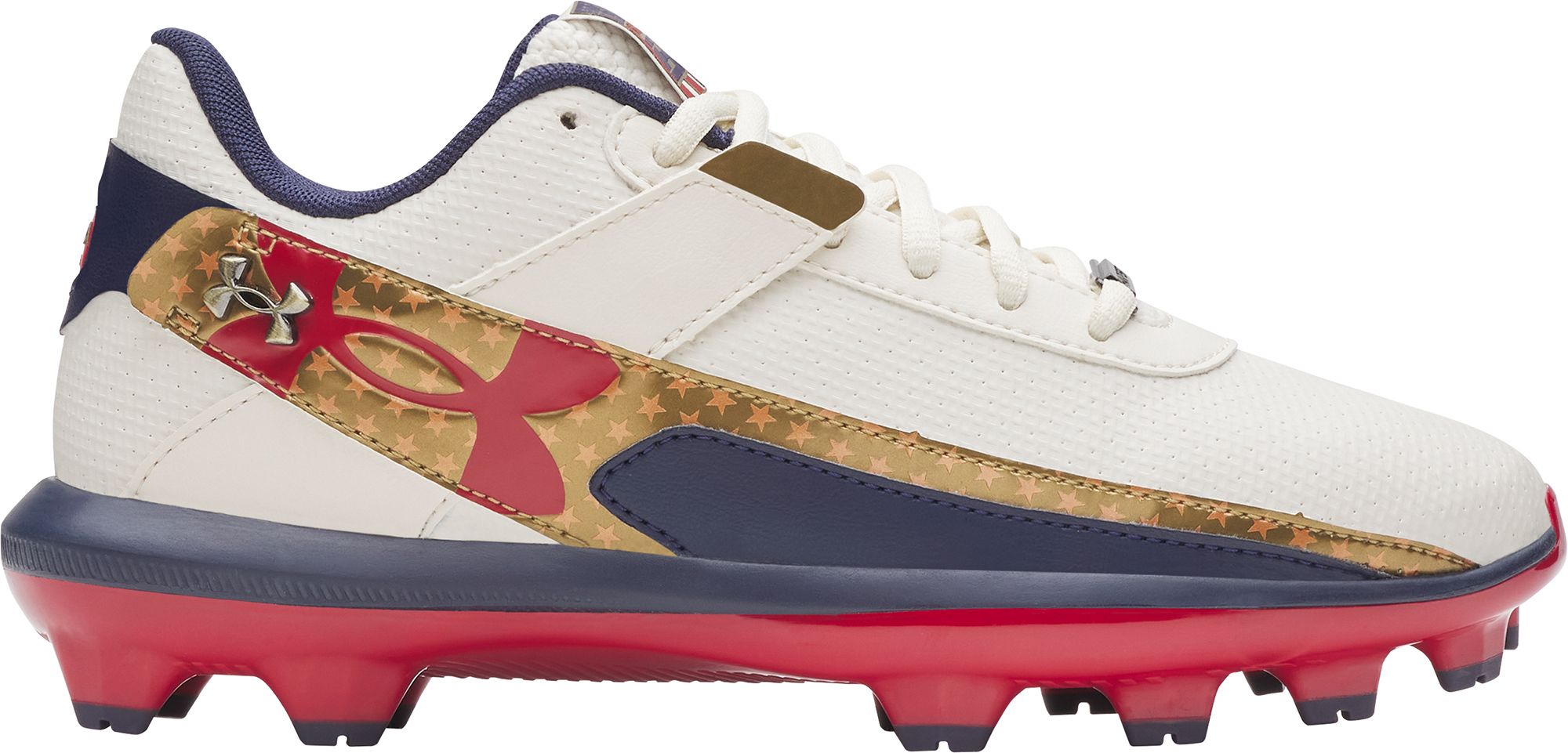 Under Armour Kids' Harper 10 LE TPU Baseball Cleats | Dick's