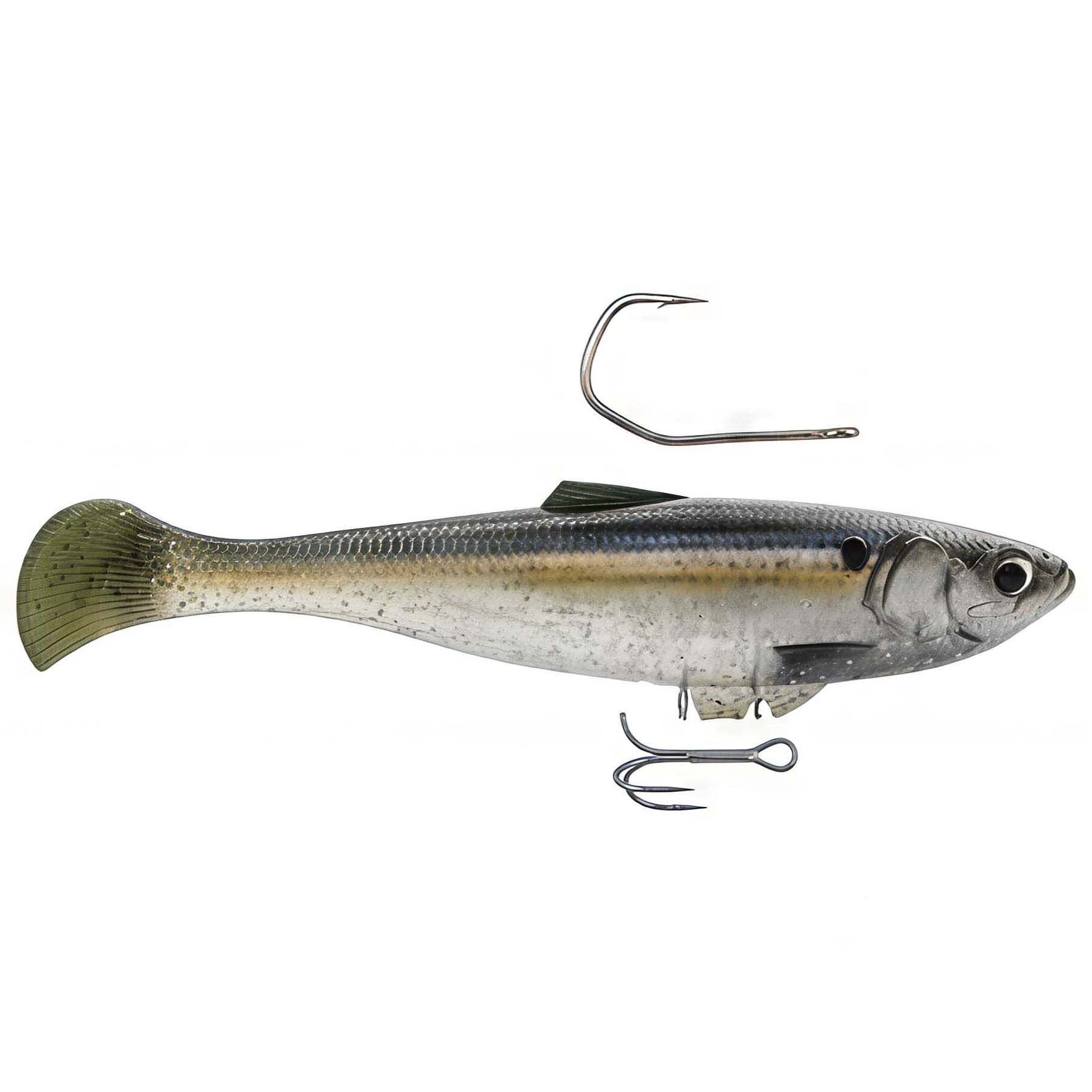 趣味・スポーツ・実用 PLANTED   7 Z-Man Swag LT Lures | Dick's Sporting Goods