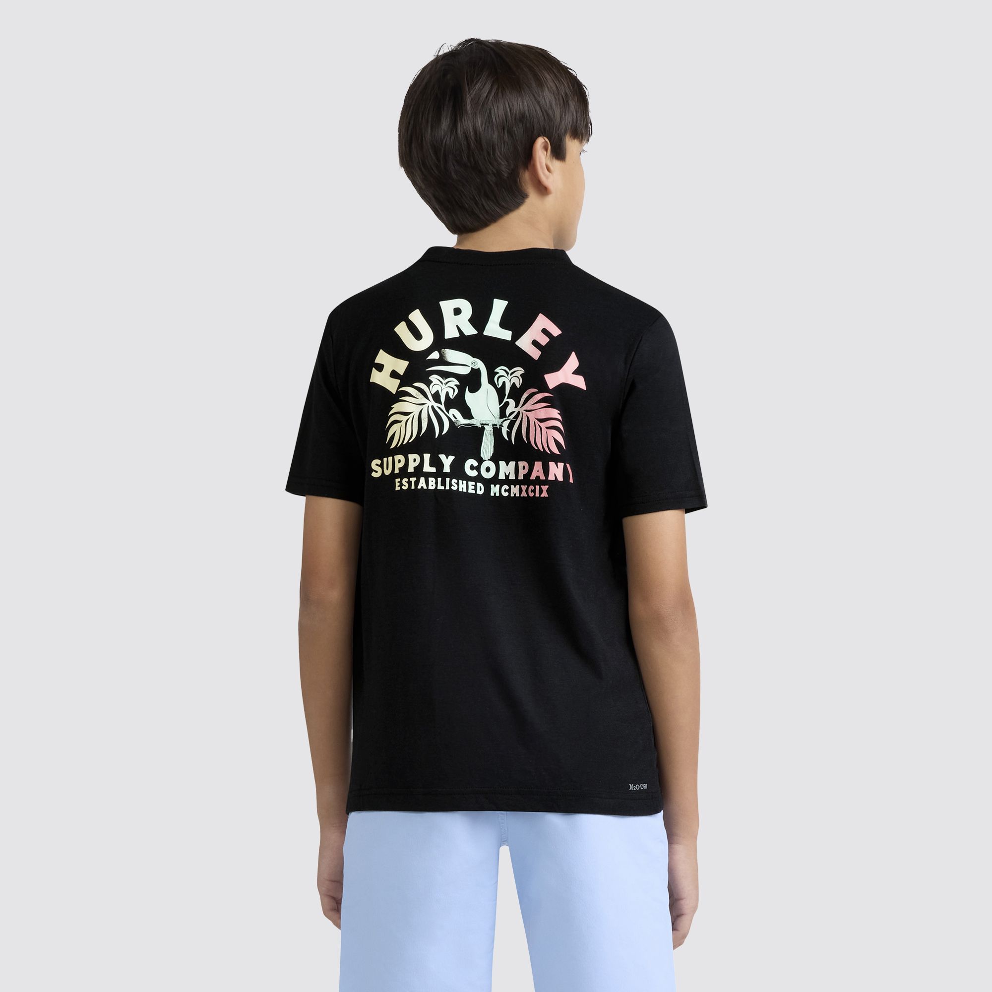 Hurley Boys' Toucan Poolside H2O-Dri Graphic Tee | Dick's Sporting