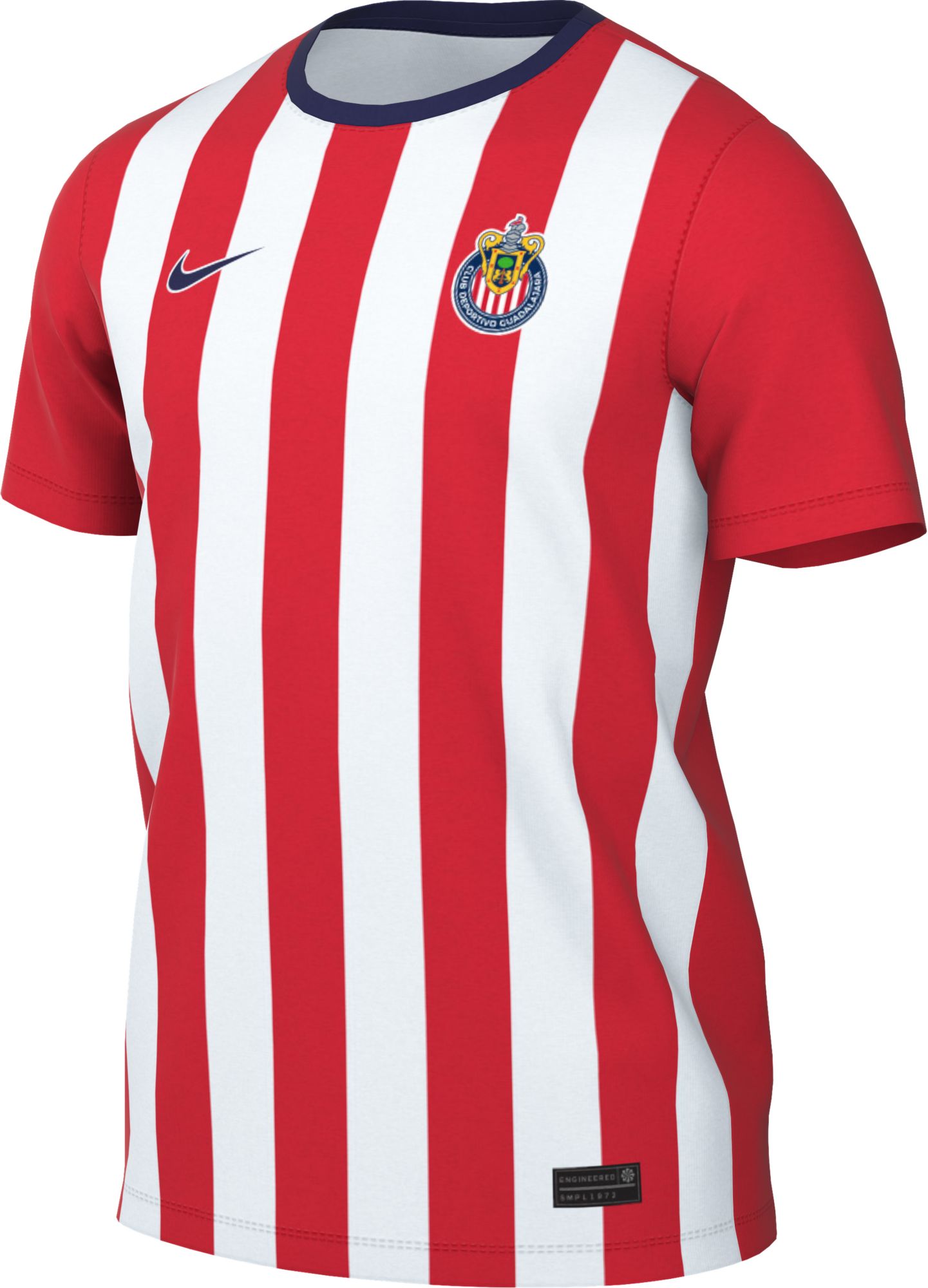 Nike Adult Chivas Guadalajara 2026 Supporter's T-Shirt | Dick's