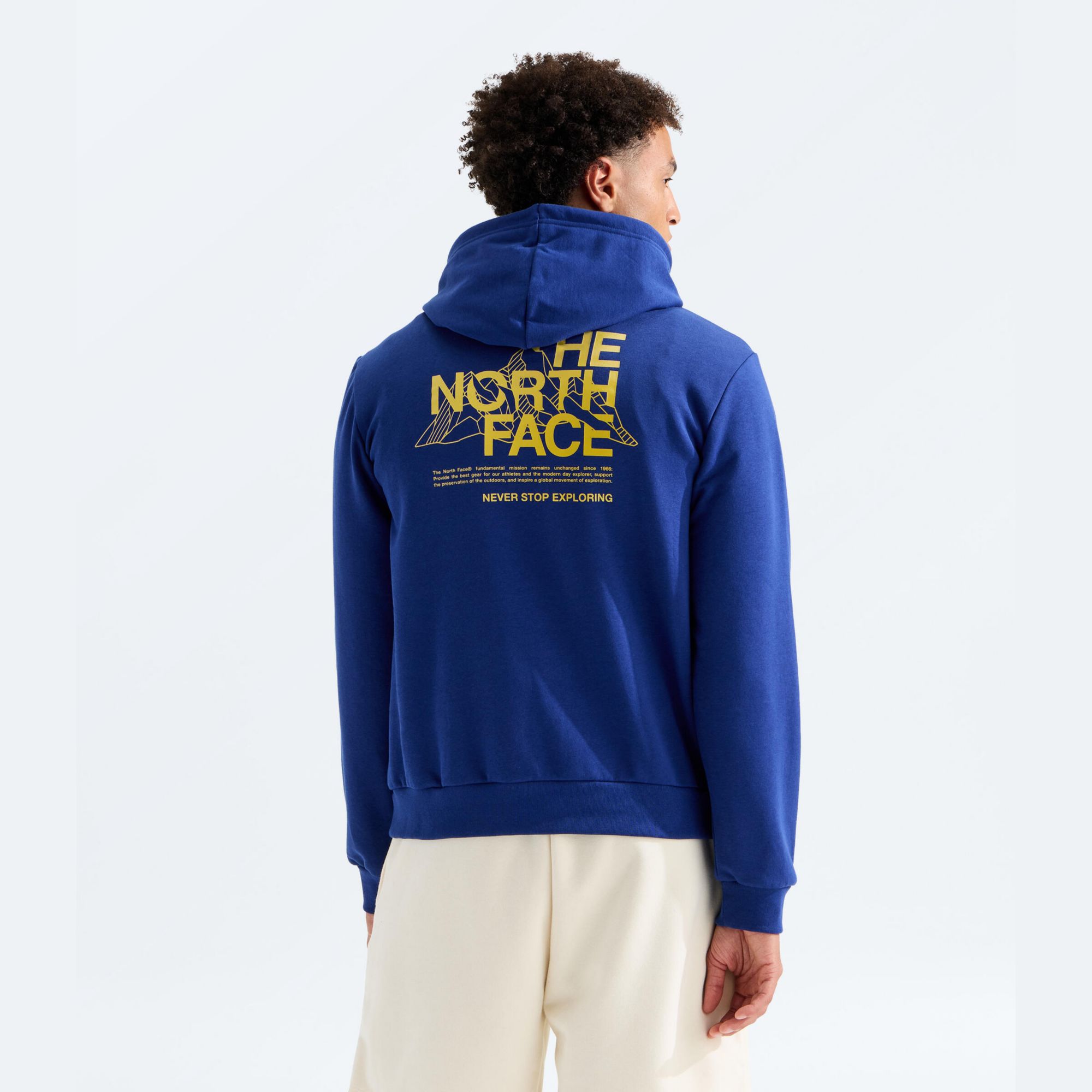 The North Face Men's Evolution Mountain Sketch Hoodie | Dick's