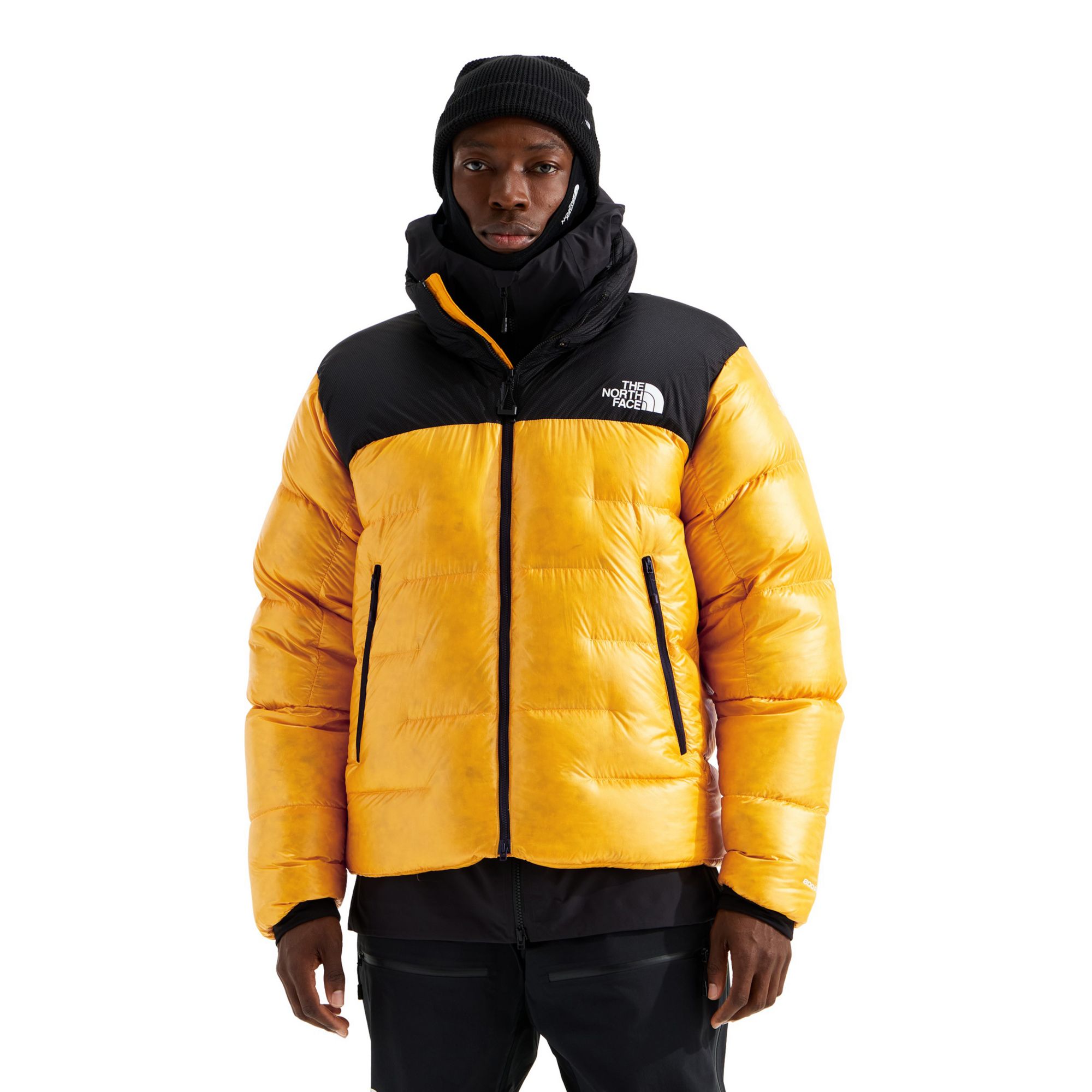THE NORTH FACE ヌプシベアー The North Face Men's Summit Nuptse Jacket | Dick's Sporting Goods