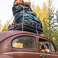 Patagonia Accessories
