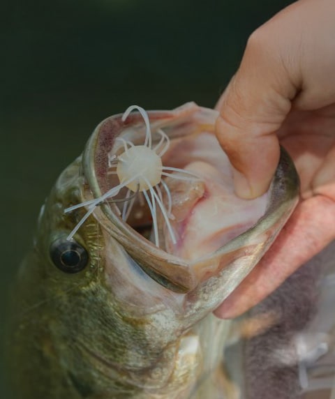 dicks fishing accessories Fishing Gear & Tackle - Up to 50% Off