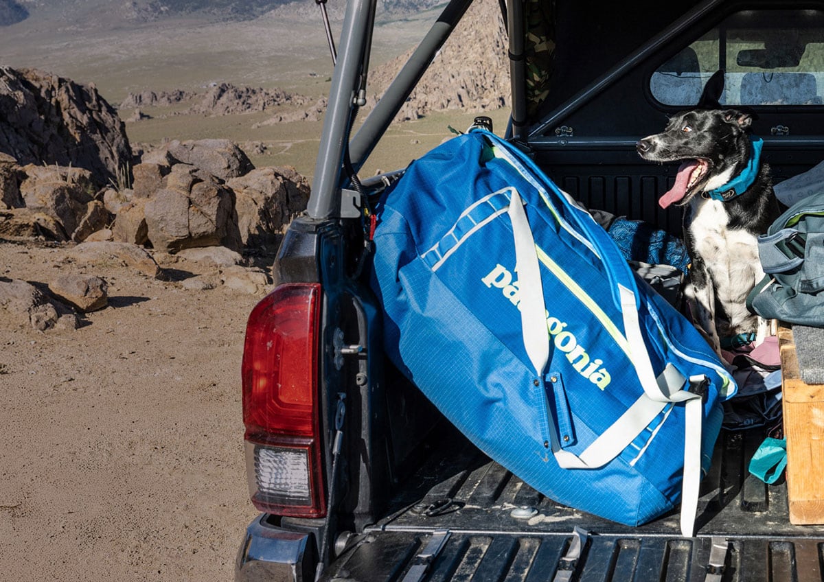 A dog with bags in the back of a pickup truck.