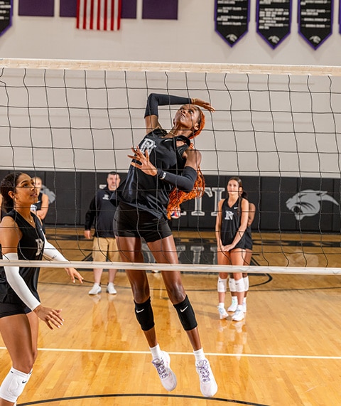 Volleyball players playing a game.