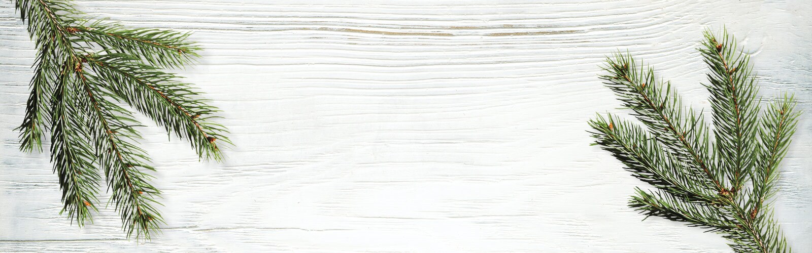 Two evergreen sprouts laid atop a white wood background.