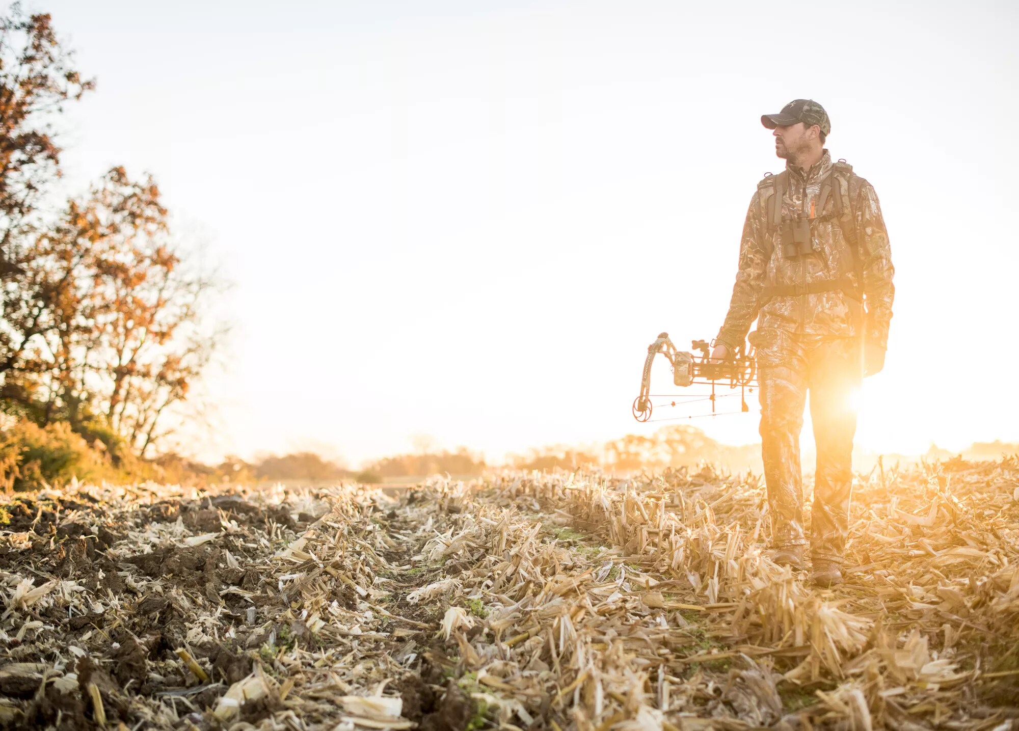 Are Dogs Allowed In Field And Stream Stores
