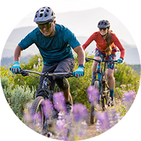 Bikers riding on trail surrounded by purple flowers