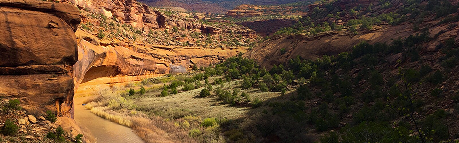 Dolores River Canyon Country