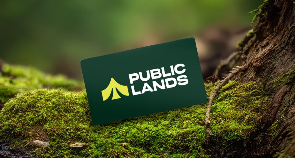 A gift card perched on a mossy ground.