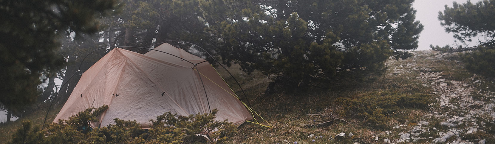 A tent set up on a mountainside surrounded by evergreens.