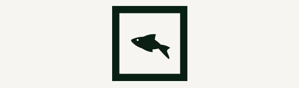 fish icon