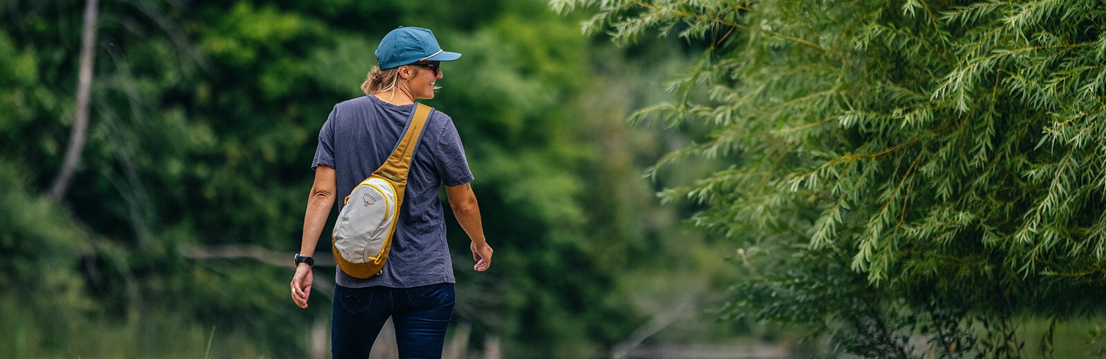 A hiker in the woods