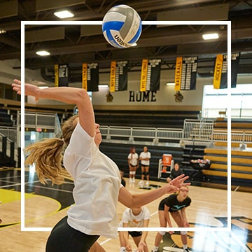 Image of volleyball player