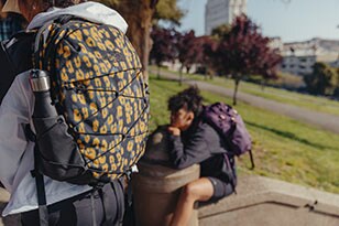 the north face women's jester luxe classic 20 backpack